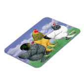 三つのブラーマ マグネット (左側)