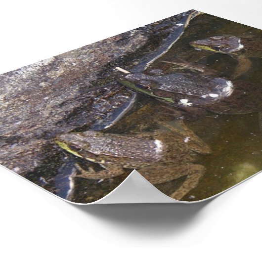 三つの小さなカエル ポスター (角)