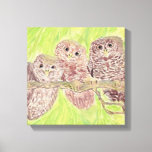 三つの小さなスクワリングのフクロウ絵画 – アクリル。 キャンバスプリント (正面)