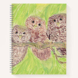 三つの小さなスクワリングのフクロウ絵画 – アクリル。 ノートブック