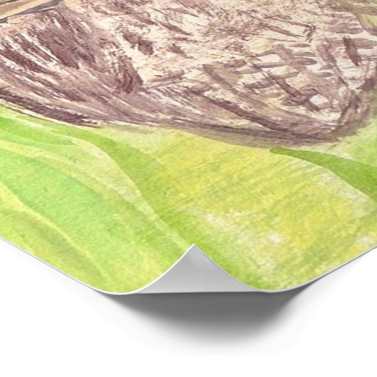 三つの小さなスクワリングのフクロウ絵画 – アクリル。 ポスター (角)