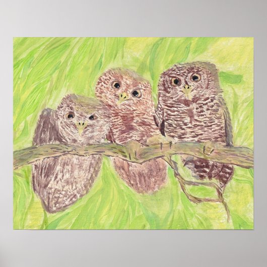 三つの小さなスクワリングのフクロウ絵画 – アクリル。 ポスター (正面)