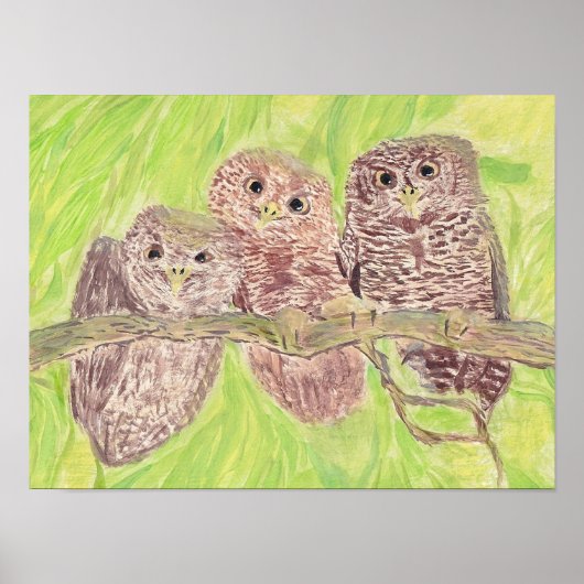 三つの小さなスクワリングのフクロウ絵画 – アクリル。 ポスター (正面)