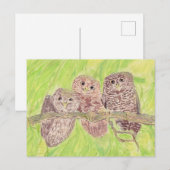 三つの小さなスクワリングのフクロウ絵画 – アクリル。 ポストカード (正面/裏面)