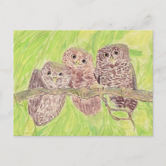 三つの小さなスクワリングのフクロウ絵画 – アクリル。 ポストカード (正面)