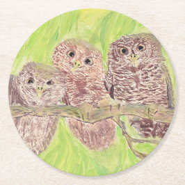 三つの小さなスクワリングのフクロウ絵画 – アクリル。 ラウンドペーパーコースター