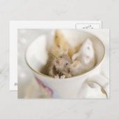 三つの小さなネズミ ポストカード (正面/裏面)