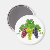三つの葡萄 マグネット (正面/裏面)