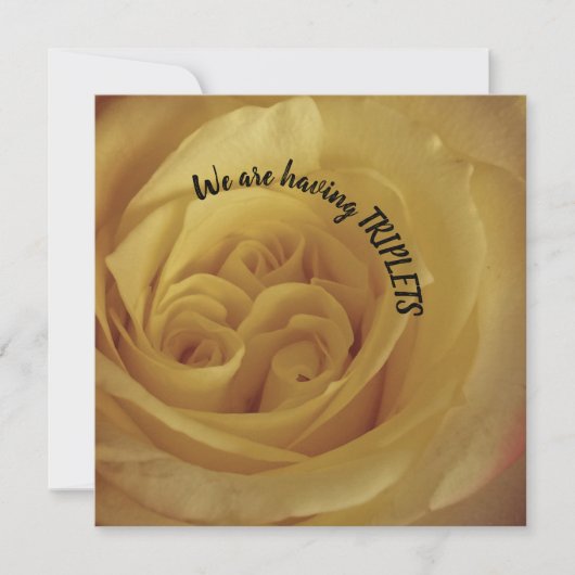 三つ子の黄色のバラのベビー発表を持つ カード (正面)