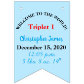 三つ子男の赤ちゃんと少女の写真 バンティングフラッグ (第3の旗)