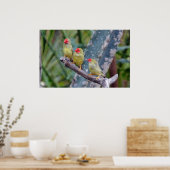 三つ星フィンチポスター ポスター (キッチン)