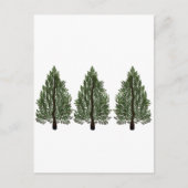 三つ松 ポストカード (正面)