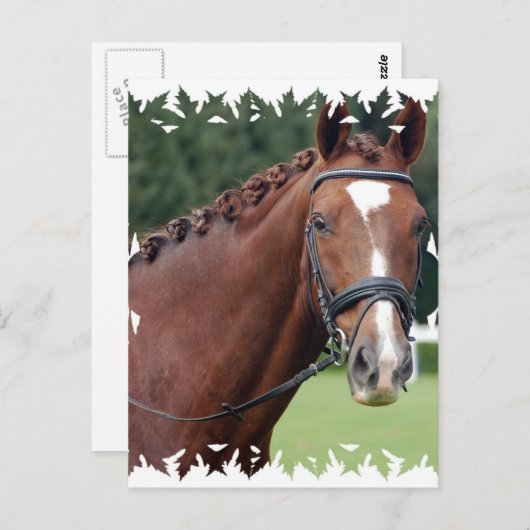 三つ編み馬のたてがみ ポストカード (正面/裏面)