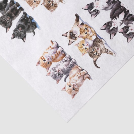 三よくはしゃぐ本の短剣で子猫 薄葉紙 (詳細)