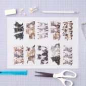 三よくはしゃぐ本の短剣で子猫 薄葉紙 (クラフト)