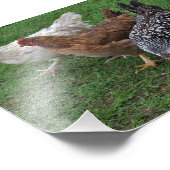 三アミゴス フォトプリント            (角)