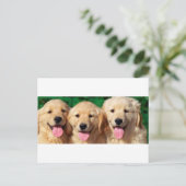 三アミゴス ポストカード (スタンド正面)