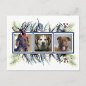三カスタマイズつペット写真クリスマスホリデー ポストカード (正面)