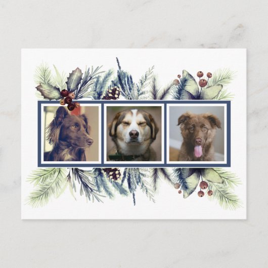 三カスタマイズつペット写真クリスマスホリデー ポストカード (正面)