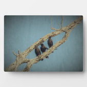 三カラス斑 フォトプラーク (正面)