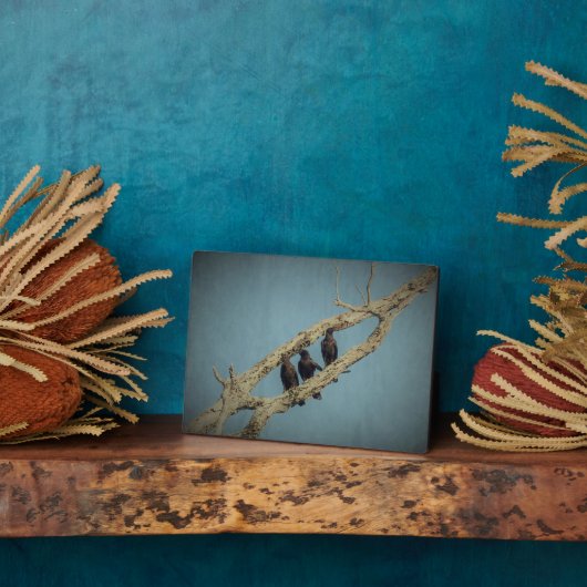 三カラス斑 フォトプラーク (側面)