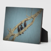 三カラス斑 フォトプラーク (側面)