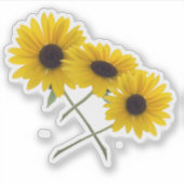 三カラフル重ひまわり写真 シール (正面)