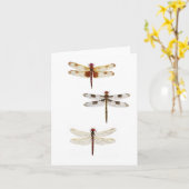 三トンボ カード (黄色い花)