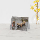 三ベビー熊 カード (黄色い花)