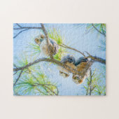 三ベビー素晴らし角フクロウ野生生物写真 ジグソーパズル (横)