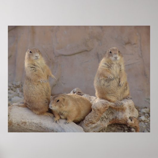 三ラッセル ポスター (正面)