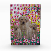 三ラブラドールの子犬と花の油絵を描。 フォトブロック (正面)