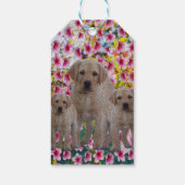 三ラブラドール子犬絵を描油、 ギフトタグ (裏面)