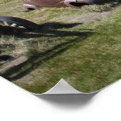 三七シボレー ポスター (角)