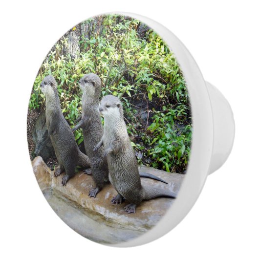 三人のおなかをすかせた娘たち セラミックノブ (右)