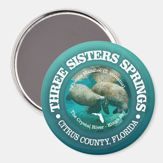 三人姉妹春(rd) マグネット (正面/裏面)