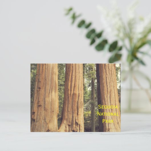 三人姉妹 ポストカード (スタンド正面)