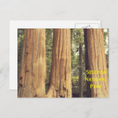 三人姉妹 ポストカード (正面/裏面)