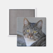 三位一体 マグネット (正面/裏面)