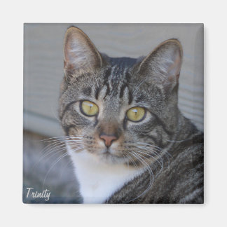 三位一体 マグネット