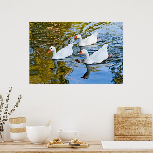 三匹のガチョウが泳いでいる ポスター (キッチン)