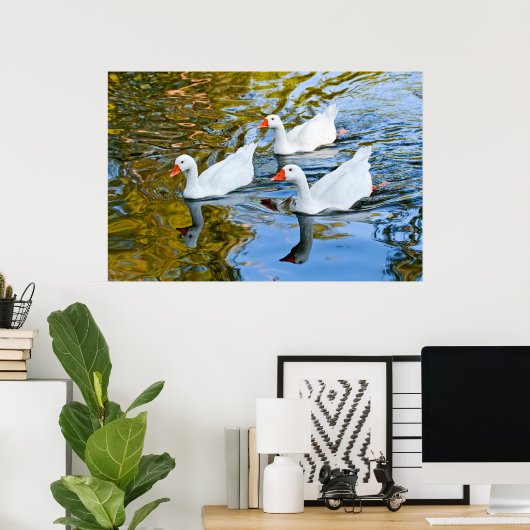 三匹のガチョウが泳いでいる ポスター (ホームオフィス)