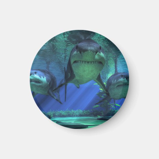 三匹のサメ マグネット (正面)