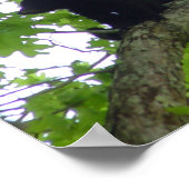 三匹の仔 ポスター (角)