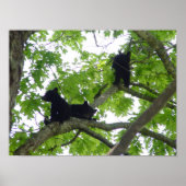 三匹の仔 ポスター (正面)