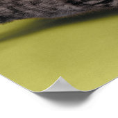 三匹の子猫が抱き合って ポスター (角)