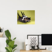 三匹の子猫が抱き合って ポスター (ホームオフィス)