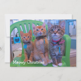 三匹の子猫 サンキューカード