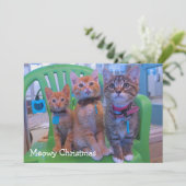 三匹の子猫 サンキューカード (スタンド正面)