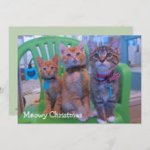 三匹の子猫 サンキューカード (正面/裏面)